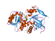 2j8z: CRYSTAL STRUCTURE OF HUMAN P53 INDUCIBLE OXIDOREDUCTASE (TP53I3,PIG3)