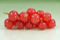 Redcurrant berries