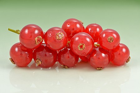 Redcurrant berries, by Iifar