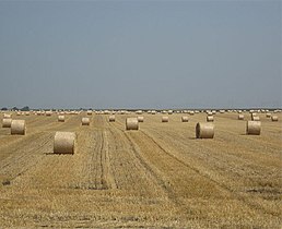 Поља у Семберији