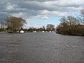 The River Ouse at Acaster Malbis