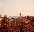 Florence, viewed from the Pitti Palace