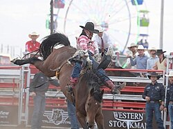 A cowboy in a black vest and hat struggles to hold onto his horse as it bucks in midair.