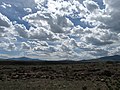 Steppes at the Shirak plateau around Anipemza