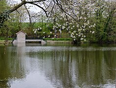 Mühlenteich (Frühling 2013)