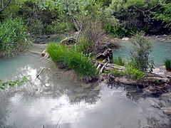 Ancien barrage en bois sur l'Artuby.