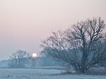 LSG Baruther Urstromtal und Luckenwalder Heide