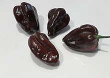 A photo of four brown habanero peppers on a white surface