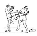 3 - Semi-circular-kick (coup en diagonale montante)