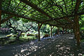 Hibiya Park Lake and Wisteria Grove