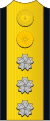海軍大元帥の肩章