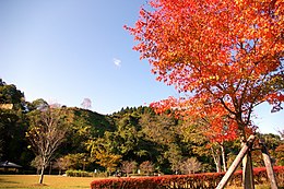 岩出山城外観