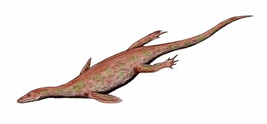 Lariosaurus (Nothosauria)