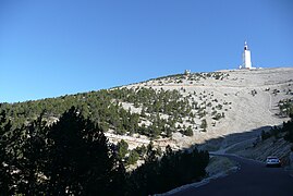 Vue sur les 3 derniers km à la sortie de la forêt.