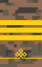 Mongolian Army-CPL(v)-field