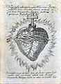 18th-century depiction of the Sacred Heart from the vision of Marguerite Marie Alacoque (d. 1690). The heart is both "heart-shaped" and drawn anatomically correct, with both the aorta and the pulmonary artery visible, with the crucifix placed inside the aorta.