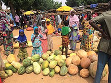 Girls and pumpkins on the weekly market