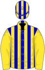 Blue and yellow stripes, yellow sleeves, striped cap