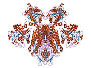 1suv: Structure of Human Transferrin Receptor-Transferrin Complex