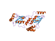 2c4p: CRYSTAL STRUCTURE OF HUMAN UBIQUITIN-CONJUGATING ENZYME UBCH5A