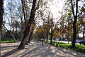 El parque Forestal, con la avenida Cardenal Caro a la derecha