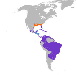      Year-round     Breeding     Nonbreeding