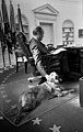 President Ford and his dog, Liberty, in the Oval Office. (Kennerly, 1974)