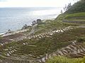 白米の千枚田（輪島市）