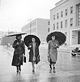 Three students at the Università La Sapienza, December 1937, Rome.