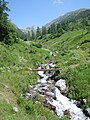 Torrent, Saint-Martin-Vésubie, Alpes-Maritimes.