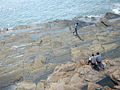 東平洲海蝕平臺