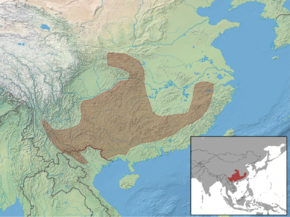 Description de l'image Typhlomys cinereus distribution.png.