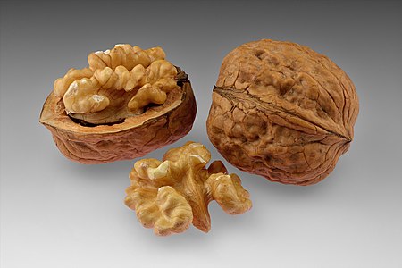 Walnuts, by Iifar
