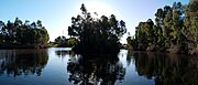 View of the wetlands at Warriparinga in the late afternoon.