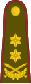 Generolas majoras (Lithuanian Land Forces)[40]