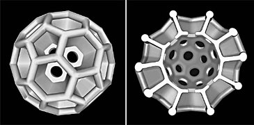 Brochosomes (secretory microparticles produced by leafhoppers) often approximate fullerene geometry.