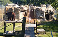 Bear exhibit