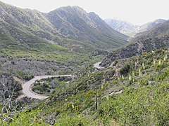 Angeles Crest Highway