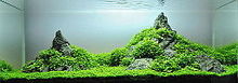 Aquarium with gray stones arranged to form a tall pointed structure at the right, and a similar but smaller structure at the left. The stone peaks and the foreground are largely but not entirely covered by a short layer of fine textured green plants.