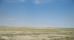 Panorama of the desert area