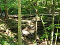 Waterfall at Blackacre Nature Preserve