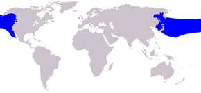 Description de l'image Cetacea range map Baird 27s Beaked Whale.png.