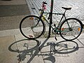 Fahrrad Schattenspiel - Sachsen - Germany