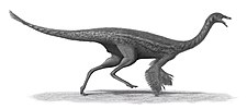 Restoration showing an adult with feathers, based on those known from a related genus