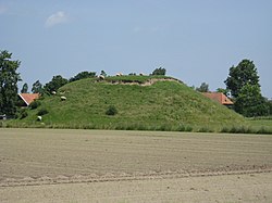 Artificial flee mountain