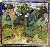 Les félins (livre de chasse de Gaston Fébus, 1331-1391), représentant des lynx.