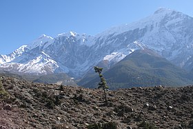 Vue du Nilgiri