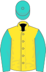 Yellow, turquoise sleeves and cap