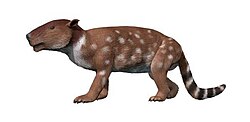 Life reconstruction of Pantolambda bathmodon