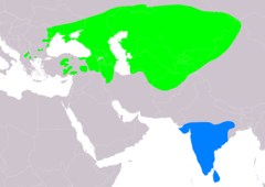 Distribución de Pastor roseus